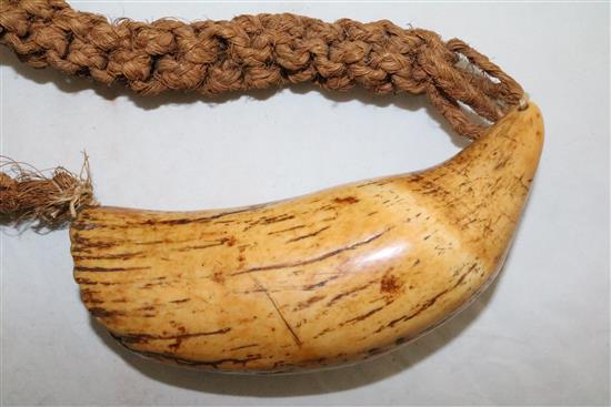 An antique Polynesian whales tooth Tabua necklace
